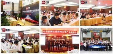 2019年网站建设 低门槛高回报的创富机遇