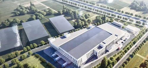 安庆庆丰禾食品年产1万吨肉类深加工及生鲜供应链项目封顶仪式圆满举行，助力现代化食品产业升级