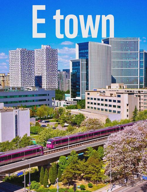 亦庄网站建设 权威观点解读与发展新趋势